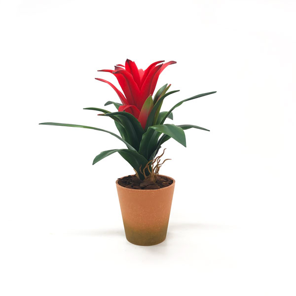 Vaso Poli Terra Cota (7-15cm) - Imagem 2