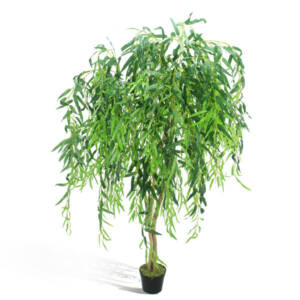 Chorão Permanente (1,50m)