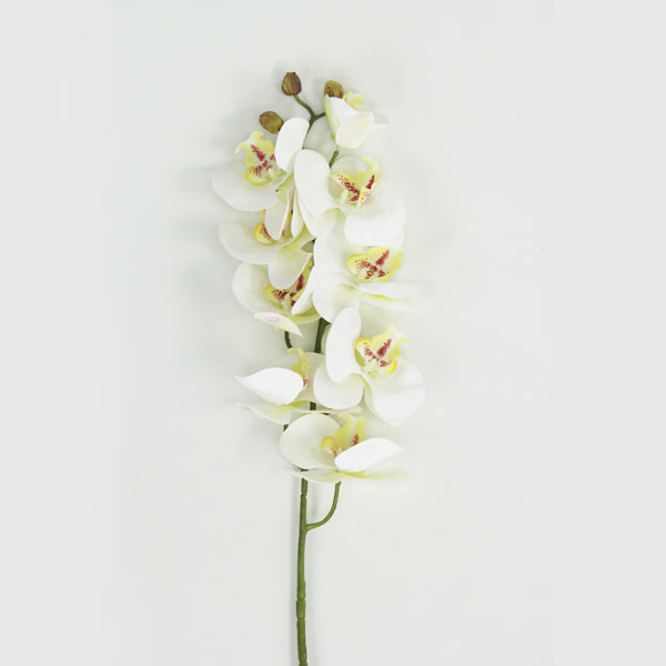 Orquídea Phalaenopsis Branca em Silicone (82cm) - Imagem 4