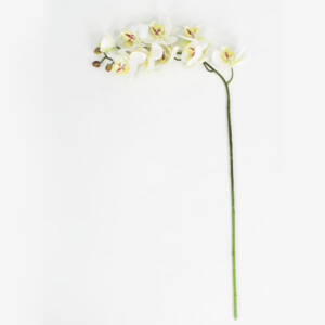 Orquídea Phalaenopsis Branca em Silicone (82cm)