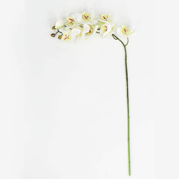 Orquídea Phalaenopsis Branca em Silicone (82cm)