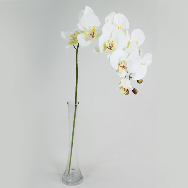 Orquídea Phalaenopsis Branca em Silicone (82cm) - Imagem 2