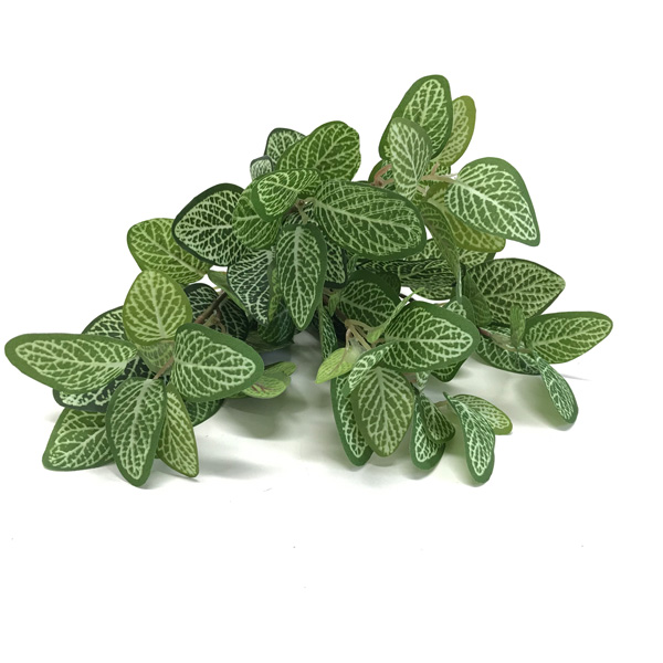 Fitônia Folhagem Artificial 7H (45cm) - Imagem 5