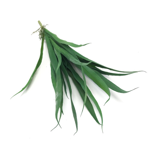 Folha Artificial de Orquídea (37cm) - Imagem 2