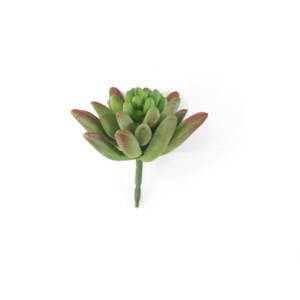 Suculenta Mini Artificial Mesclado (7cm)