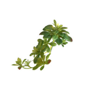 Rosa de Pedra Pendente Artificial (30cm)