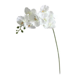 Orquídea Borboleta Artificial 8F - Creme