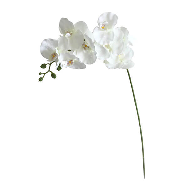 Orquídea Borboleta Artificial 8F - Creme