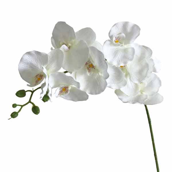 Orquídea Borboleta Artificial 8F - Creme - Imagem 2