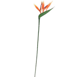 Galho de Strelitzia Artificial (66cm) - laranja