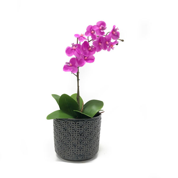 Orquídea Dendrobium Artificial (62cm) - pink - Imagem 2