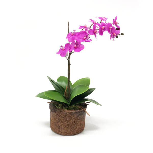 Vaso Fibra Coco 100% Natural - Imagem 4