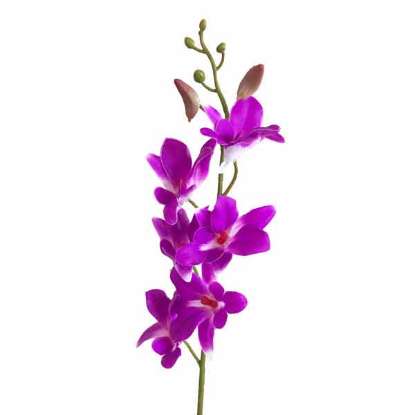 Orquídea Dendrobium Artificial (62cm) - pink - Imagem 3