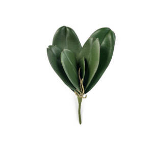 Folha Artificial de Orquídea Phalaenopsis 6F (32cm)