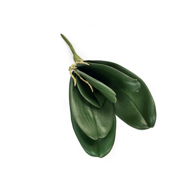 Folha Artificial de Orquídea Phalaenopsis 6F (32cm) - Imagem 2