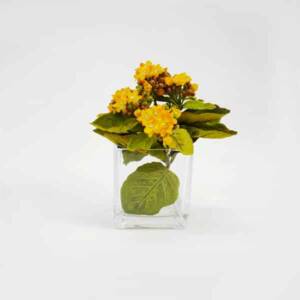 Vaso Vidro Transparente Quadrado 10x10cm