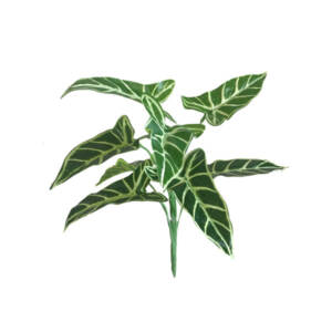 Cabeça de Cavalo Folhagem Artificial 9F (36cm)