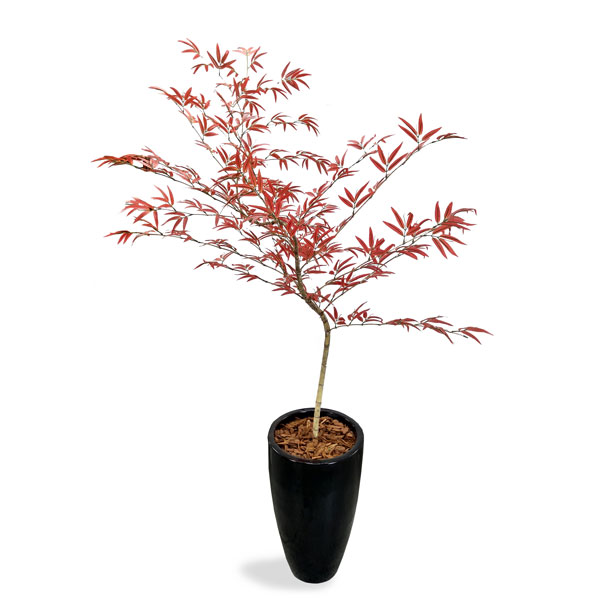Bambu Mossô Vermelho Árvore Semi-Artificial (1,80m) - Imagem 3