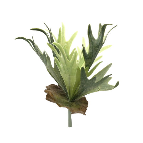 Chifre de Veado Artificial (34cm) - Imagem 4