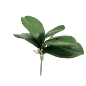 Folha Artificial de Orquídea 5F (29cm)