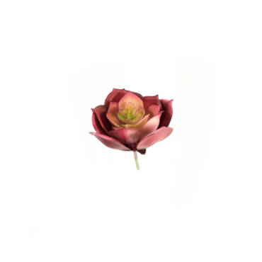 Rosa de Pedra Suculenta Artificial Mini (7cm)