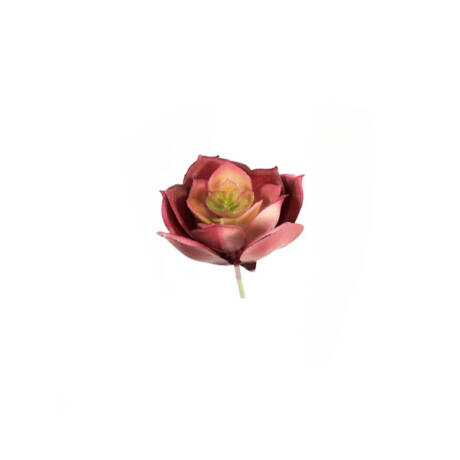 Rosa de Pedra Suculenta Artificial Mini (7cm)