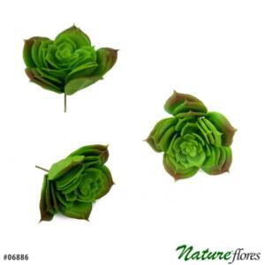 Rosa de Pedra Mesclado Suculenta Permanente (10cm)