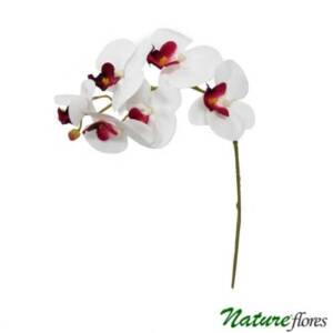 Phalaenopsis Branco/Vinho Galho Floral Artificial 6F (70cm)