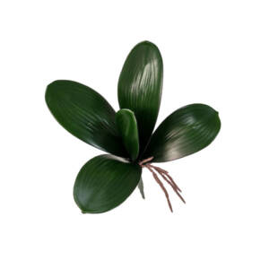 Folha de Orquídea Borboleta Artificial 5F (23cm)