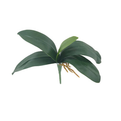 Folhas de Orquídea Artificial com Raiz 5F (27cm)