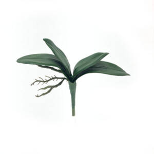 Folha Artificial de Orquídea com Raiz 4F (23cm)
