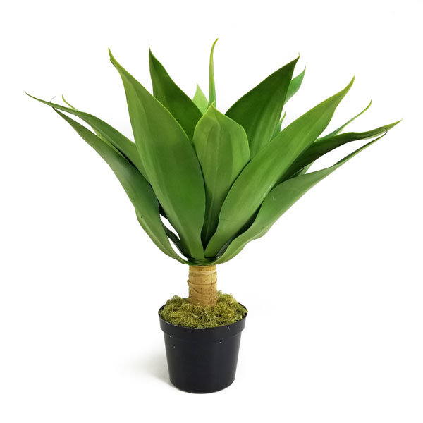 Agave Verde Suculenta Artificial com tronco (50cm)