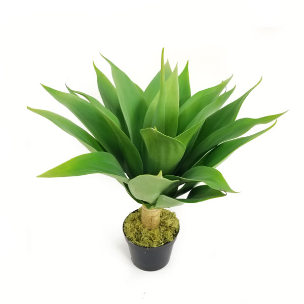 Agave Verde Suculenta Artificial com tronco (50cm) - Imagem 2