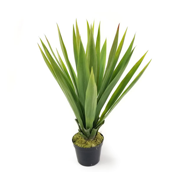 Blue Agave Verde Suculenta Artificial (59cm) - Imagem 3