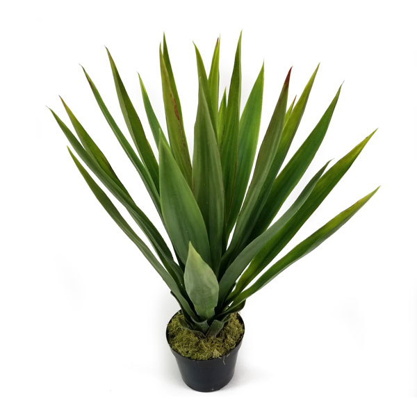 Blue Agave Verde Suculenta Artificial (59cm)