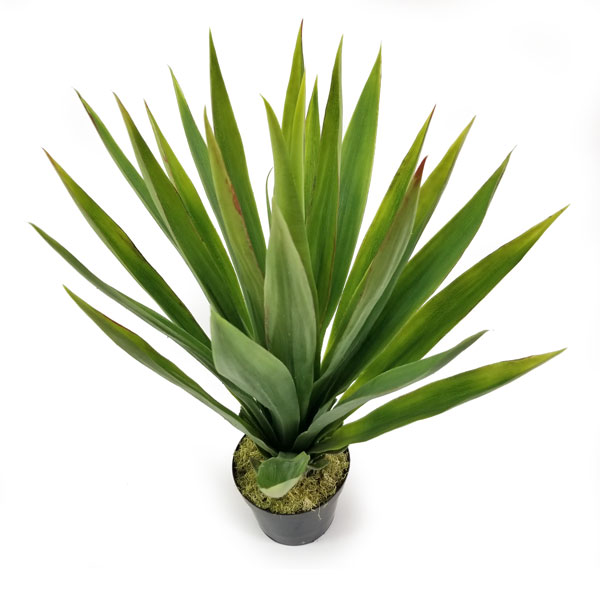 Blue Agave Verde Suculenta Artificial (59cm) - Imagem 2