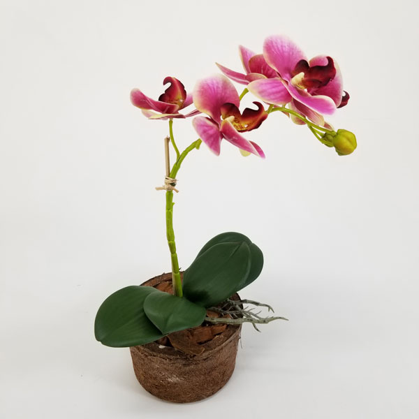 Arranjo Floral Artificial Orquídea Rosa (40cm) em vaso fibra coco - Imagem 2
