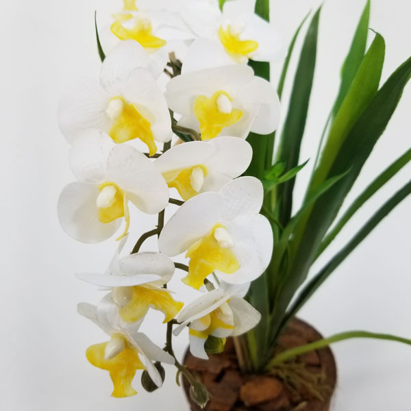 Arranjo Floral Artificial Mini Orquídea Branca (41cm) vaso fibra coco - Imagem 2