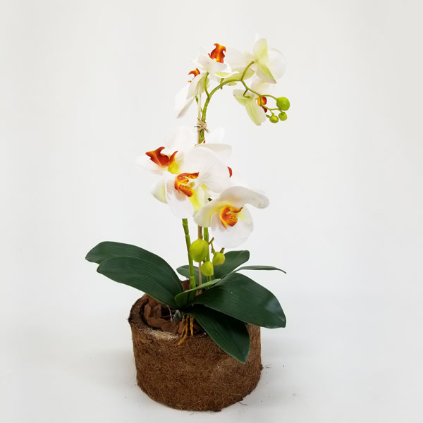 Arranjo Floral Artificial de Orquídea Br/Ocre (52cm) vaso fibra coco