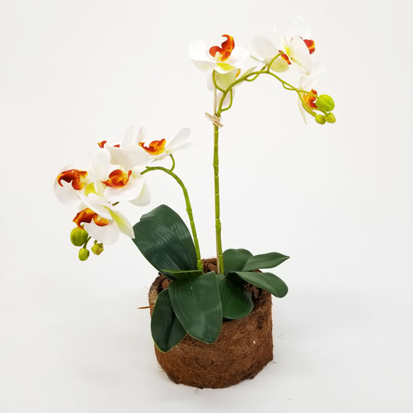 Arranjo Floral Artificial de Orquídea Br/Ocre (52cm) vaso fibra coco - Imagem 2