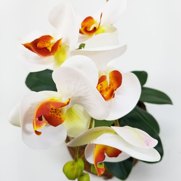 Arranjo Floral Artificial de Orquídea Br/Ocre (52cm) vaso fibra coco - Imagem 3