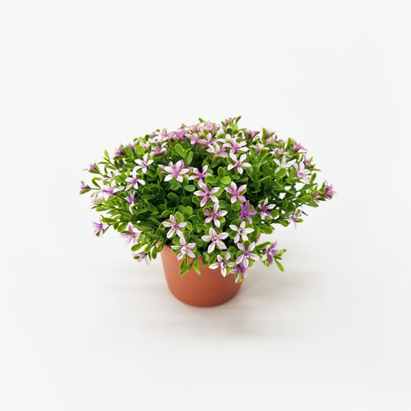 Arranjo Floral Artificial Kalanchoe (15cm) em vaso - Imagem 2