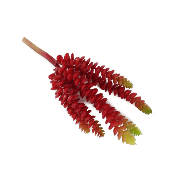 Dedo de Moça Vermelho Suculenta Artificial (25cm) - Imagem 2