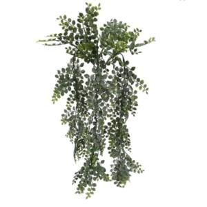 Samambaia Avenca Arbusto pendente (70cm)