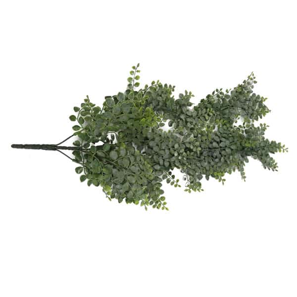 Samambaia Avenca Arbusto pendente (70cm) - Imagem 3