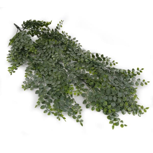 Samambaia Avenca Arbusto pendente (70cm) - Imagem 2