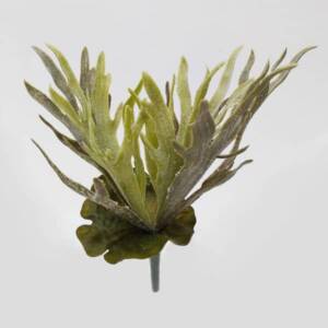 Chifre-de-Veado Planta Pendente Artificial (38cm)