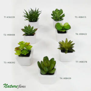 Suculenta Artificial em Vasinho de Cerâmica (7-10cm)