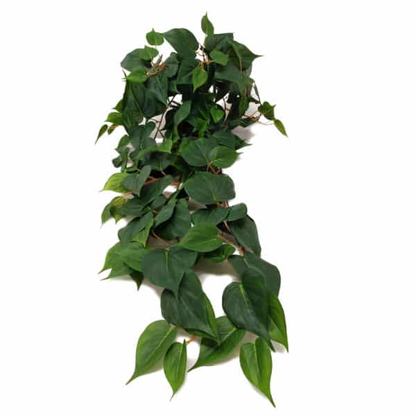 Philo Folhagem Artificial Pendente (1,00m) - Imagem 3