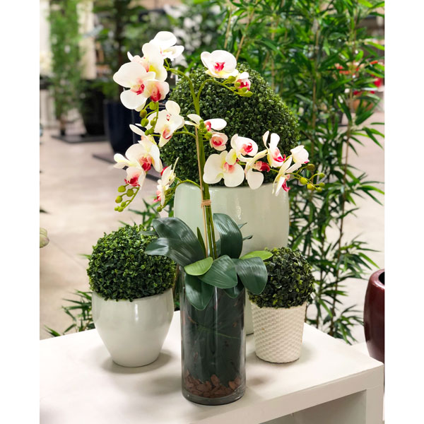 Orquídea Borboleta 3D 8FL Flor Artificial (80cm) - Imagem 2